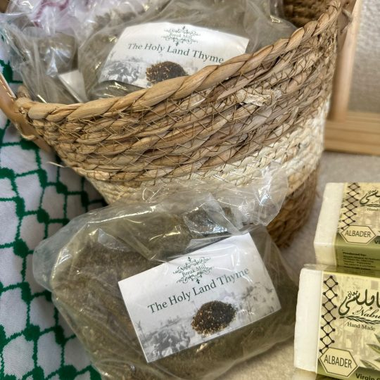 Sachet de Thym palestinien